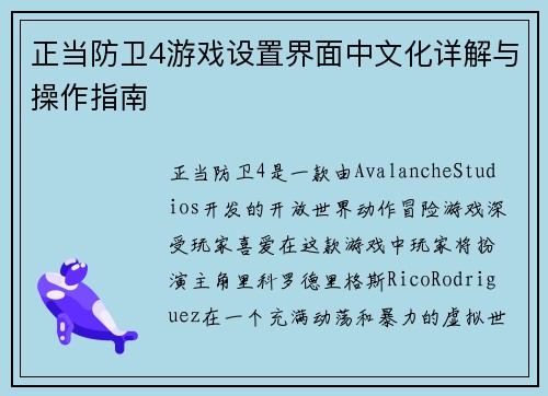 正当防卫4游戏设置界面中文化详解与操作指南